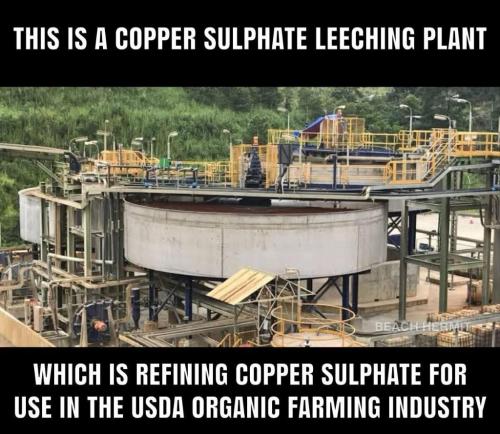 a2588857-cd97-4f98-a09f-0f50c2e527fb