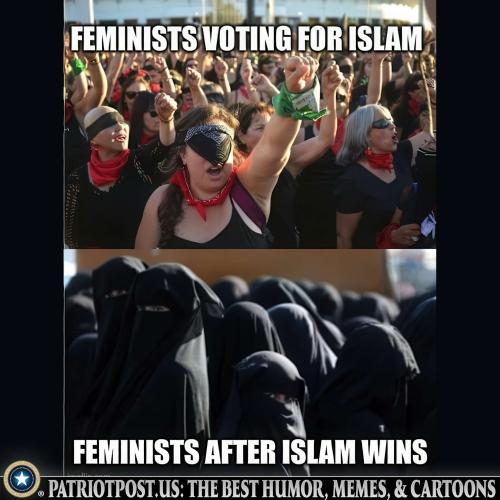 01K1YHK75A8ZDTBAWZRF84DR39