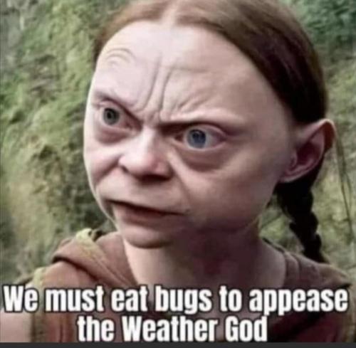 e311fdb2-187f-462b-8df1-0b4d23226256