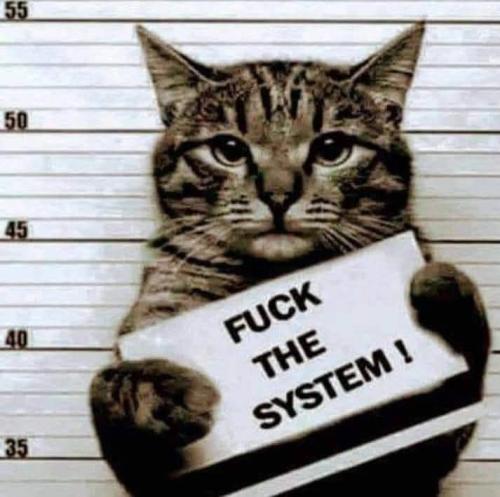 bf5b84f4347787a11e1c20cd74a0c99d