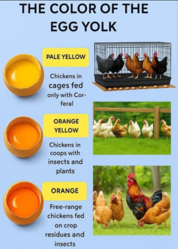 Screenshot 2025-07-30 162137