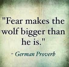 6d813057f8c8ff1a77314a215257f997