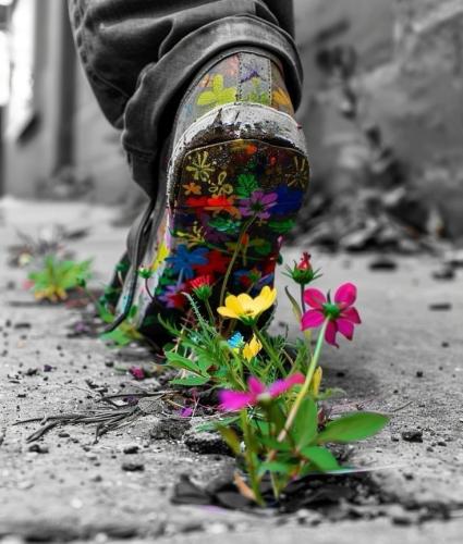 11574a50be154b905d37e2e2903efb04