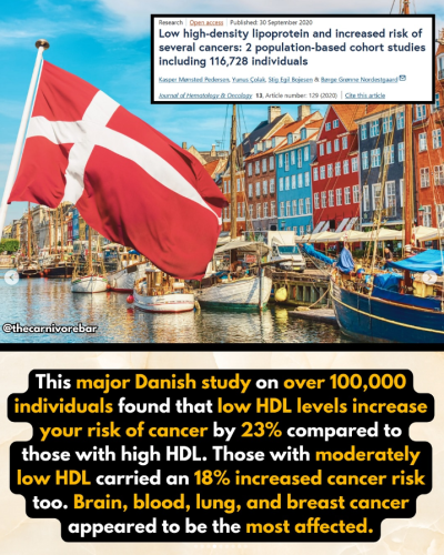 Screenshot 2025-07-30 090531