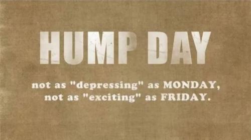 Screenshot_20250813_065348_Gallery