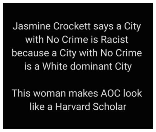 Jasmine Crocket makes AOC look like a genius.768px