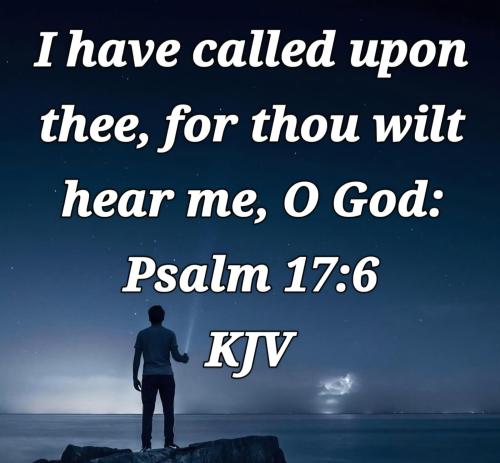 73aac719-d51d-49e7-8f13-35ffa0be15d0