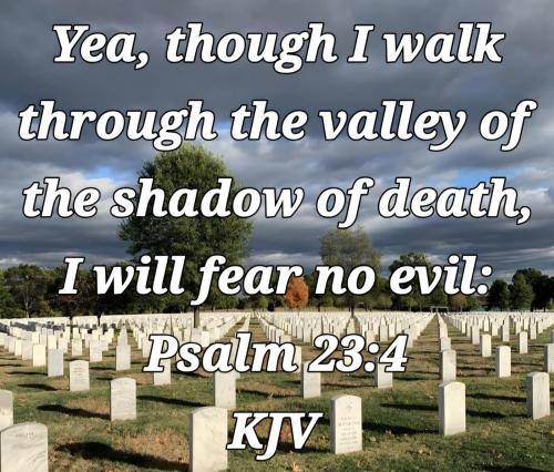 ff138f73-3e5c-47d9-ac5b-9acbb81c8322