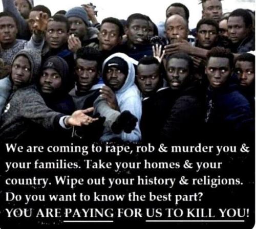 f087b8f8-908a-409e-b0b2-429e125bf6bf