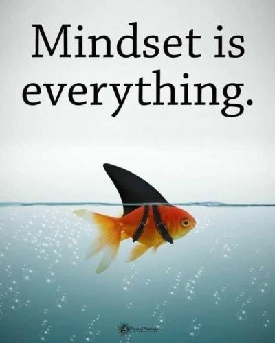 2684d9d9998dea7901375b736ac87bcd