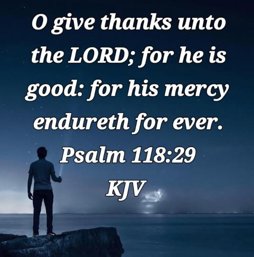 566004e2-6ba2-4e15-8d59-4474b6e2c094