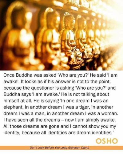 ,         418235313_73391130547