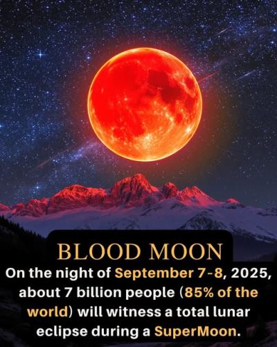 538195799_614919758356013_3714203998044740903_n