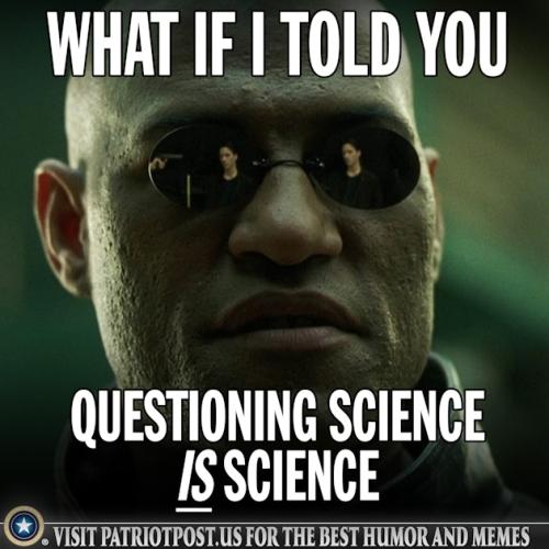 01K25NP7WTWDY119KGFG6Q1WP1