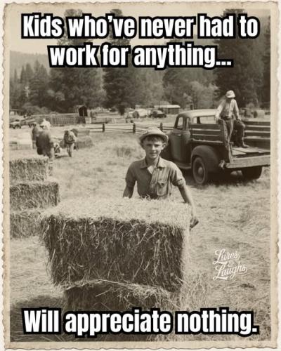 526651649_122186945804305403_3812812070534973562_n