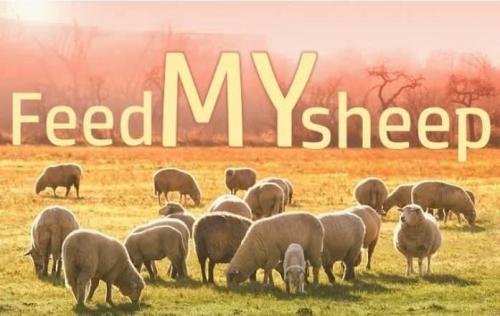 72a590a0-4b6e-4999-8c8c-1714d01770c7