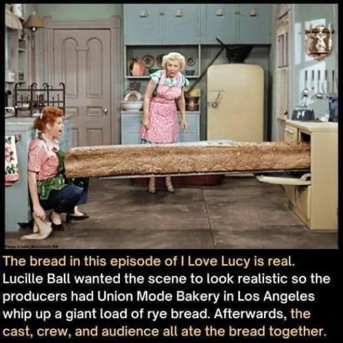 527608109_1266367478617623_6781103811084250266_n