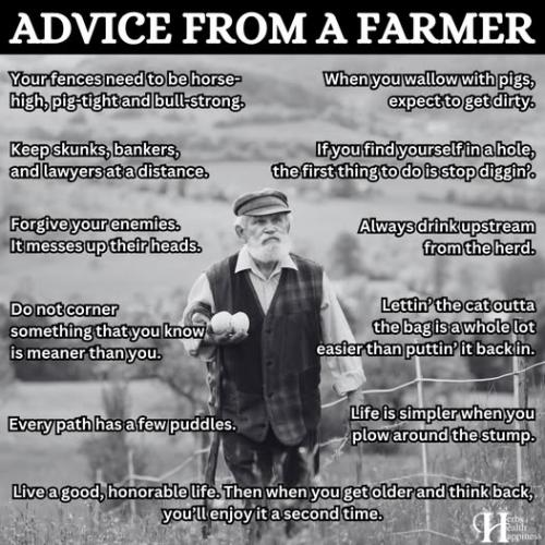 538426798_754852867298496_6516872949999597097_n