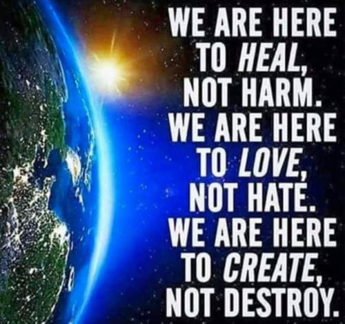 e2504f8005b35375bfbbf9e69ff1baf5