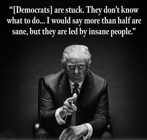 Insane Dems