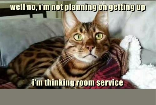 52342ae66f51655287cefb6cfad8dc7b