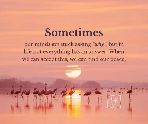 532939741_1360777522487470_1320632989948731235_n