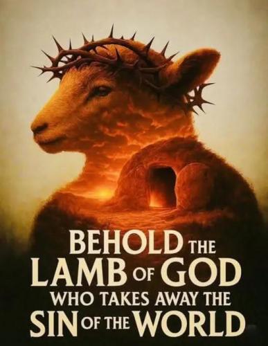 IMG_20250809_181726_637