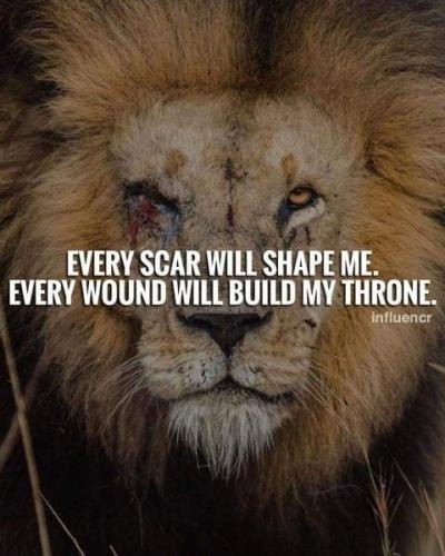 f3db0cfd9d5a2a42e3a01dfa3c71ffcc