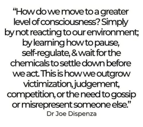 528136902_762881453294716_2721823003515930468_n