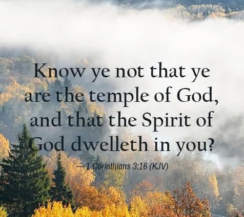 61c4a0f5-7c28-41f8-bbc0-cb31a4fa7fda