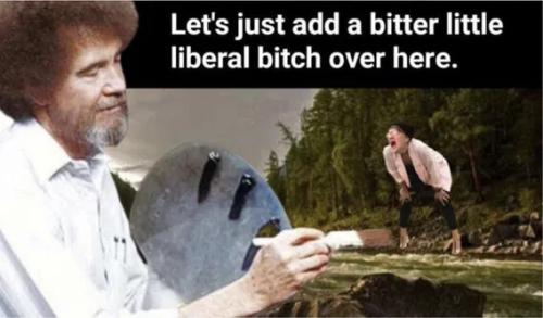 bitter-little-liberal-bitch