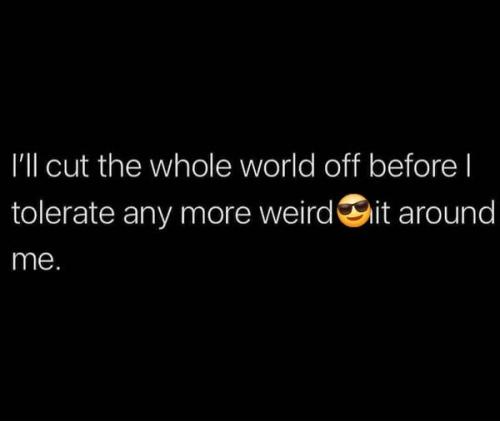 528029572_122221953584088259_775522962772412894_n