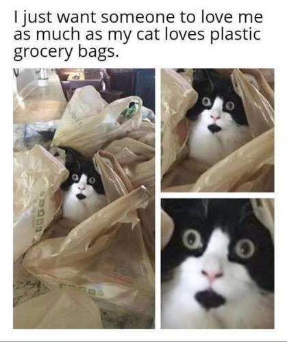 537938541_122224808996088259_3456587346670415634_n