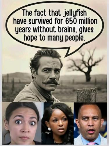 image_0E84DB59-1CD3-4026-ADA6-726F64F6F32E