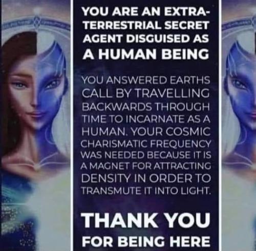 526792902_761228033460058_5508530310396572574_n