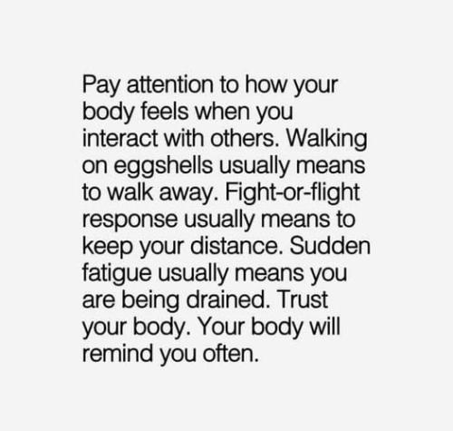 531529911_769466349302893_4021196040772719824_n