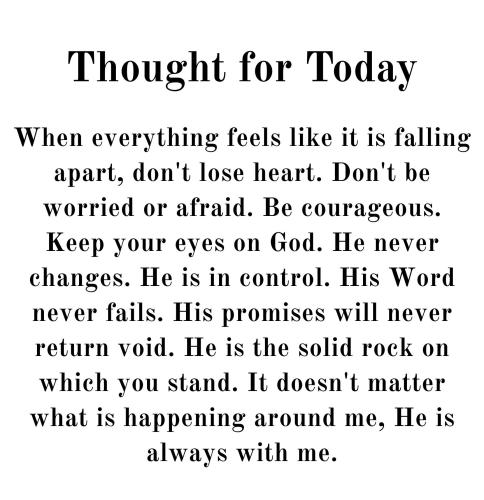 533231556_782257977641884_7593284800004610683_n