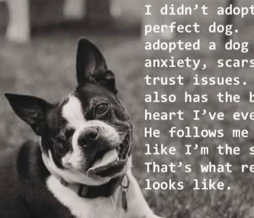 Screenshot_20250817_211120_Facebook