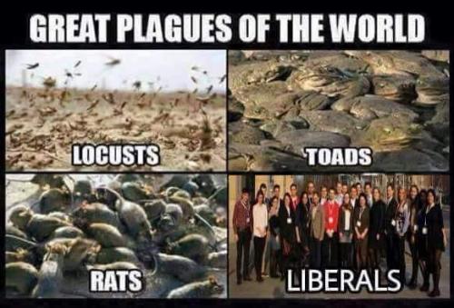 plagues
