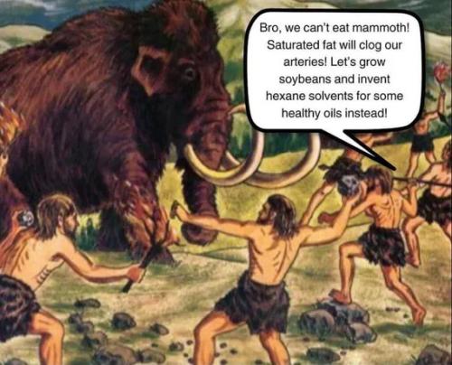 mammoths