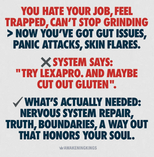 Screenshot 2025-08-10 160808