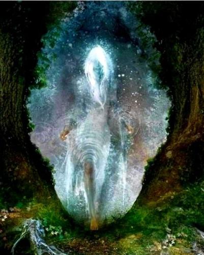 ,         418235313_73391130547