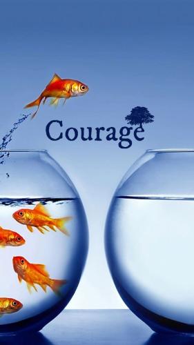 ba7552599113a34bcf700f38efcd3b7d