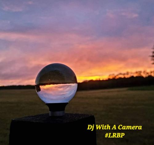 Screenshot_20250808_064741_Gallery