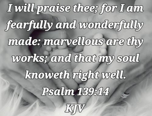 579ae606-27cc-4bbc-bd48-ad52a3ef766e