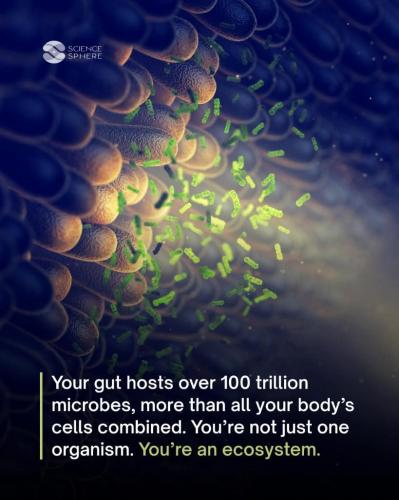 61353041-dff9-4987-aabc-79b9ef8c34dd