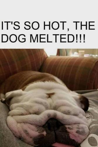 IMG_20250819_123512_419