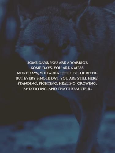 Screenshot_20250816_064409_Instagram