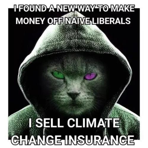 climate-change-insurance