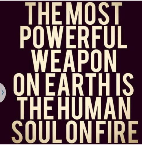 d4bff4fba24b57e28d295e8e1f77e32c